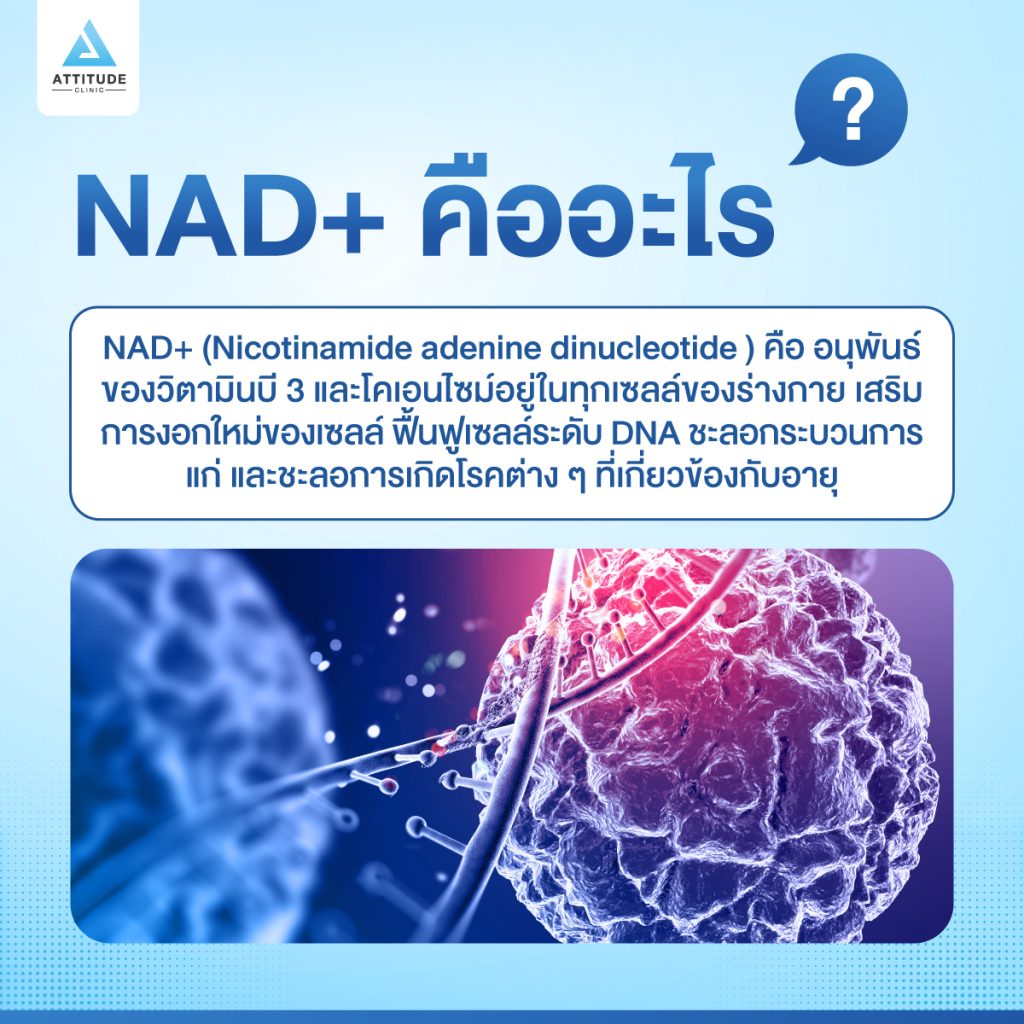 NAD+ คืออะไร