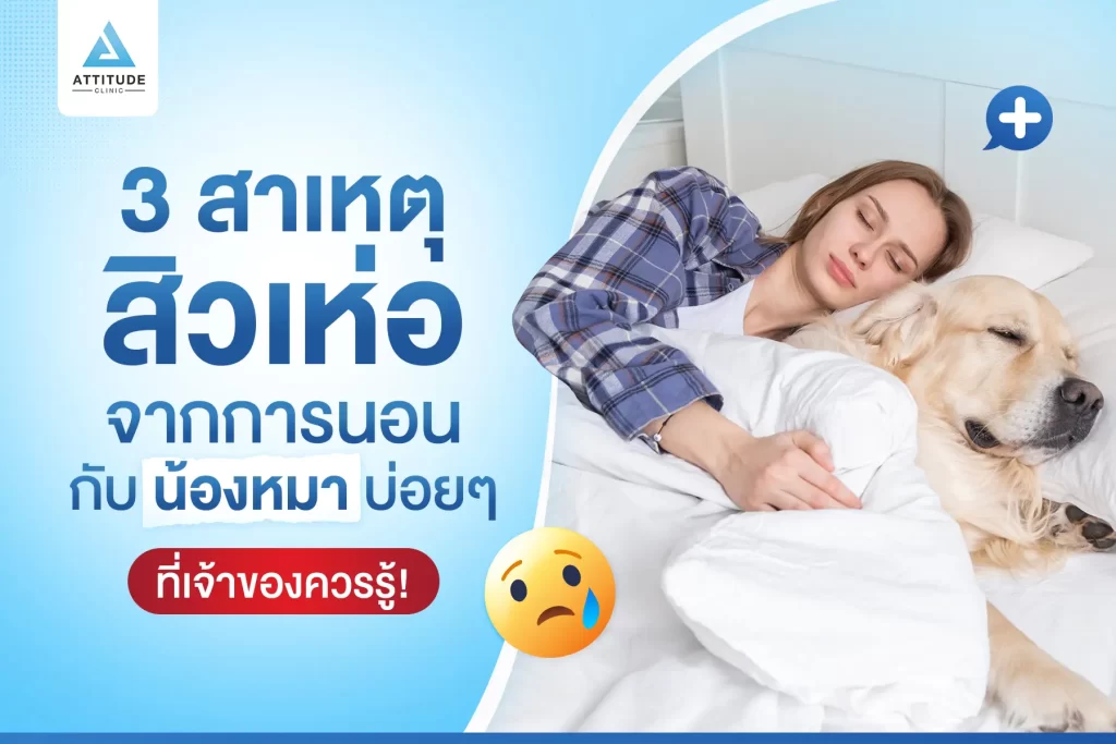 รู้หรือไม่ ⁉️ การนอนกับน้องหมาทำให้เกิดสิวได้