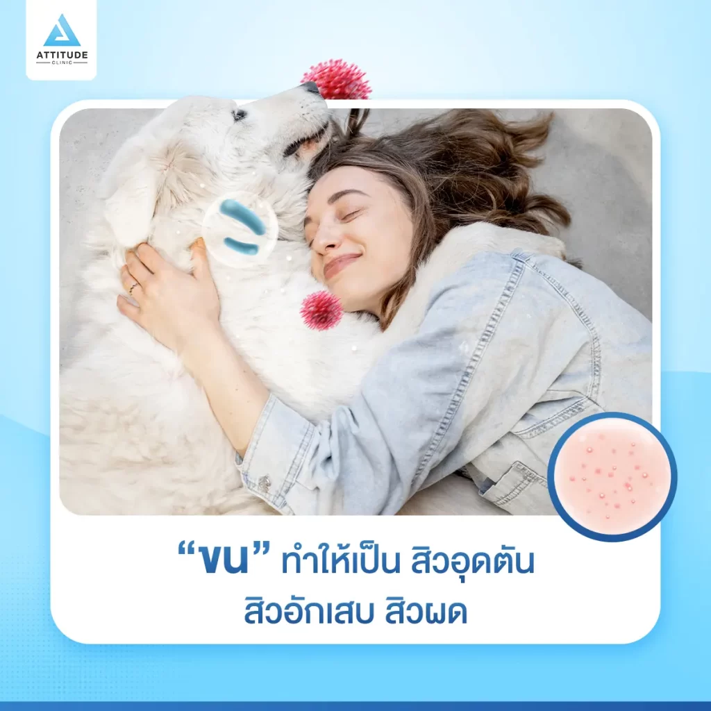 รู้หรือไม่ ⁉️ การนอนกับน้องหมาทำให้เกิดสิวได้