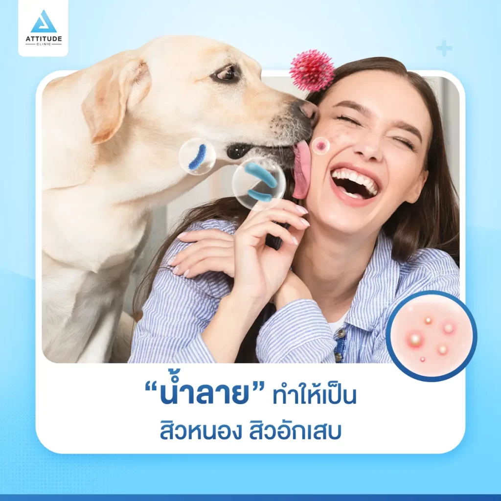 รู้หรือไม่ ⁉️ การนอนกับน้องหมาทำให้เกิดสิวได้