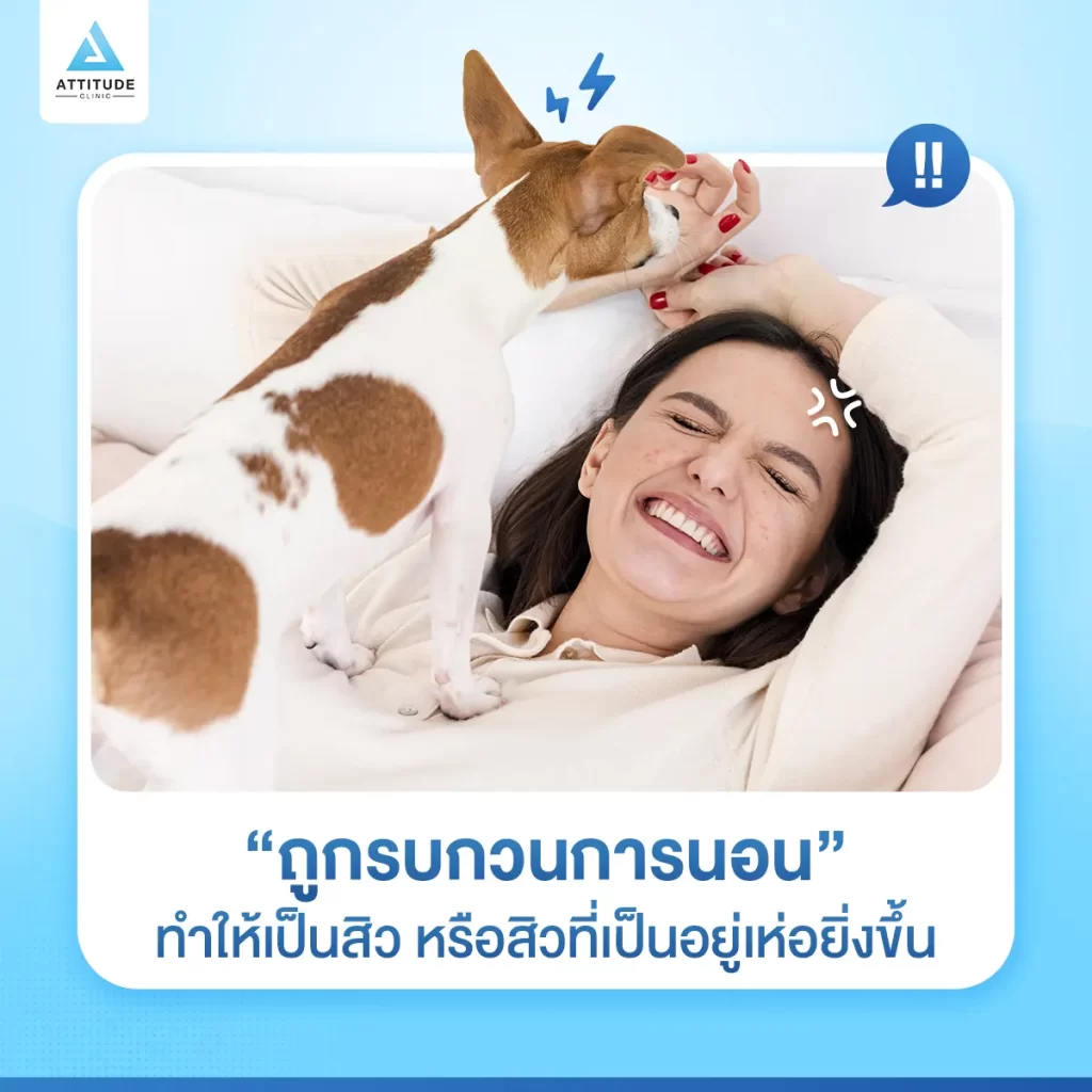 รู้หรือไม่ ⁉️ การนอนกับน้องหมาทำให้เกิดสิวได้