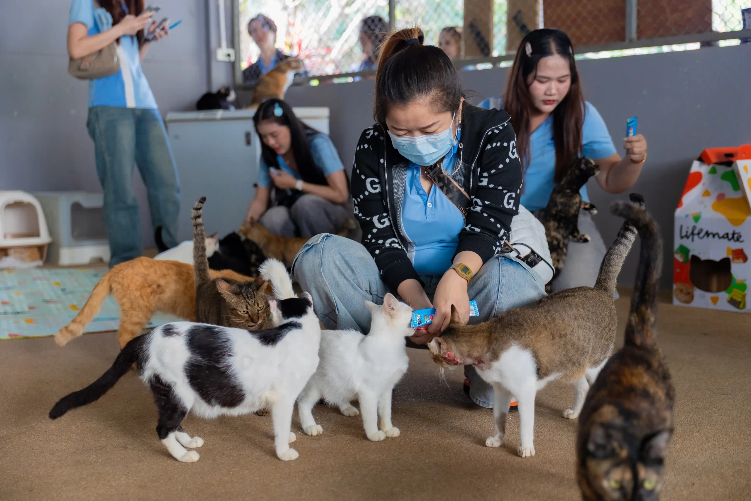 แบ่งปันน้ำใจคืนสู่สังคม Attitude Clinic ครบรอบ 7 ปี มอบอาหารและเวชภัณฑ์ยาจำเป็นให้กับมูลนิธิสันติสุขเพื่อสุนัขและแมวจรจัด